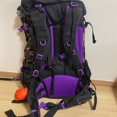 Coleman 大型バックパックの画像