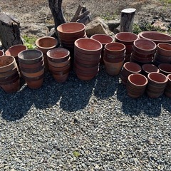 植木鉢の画像