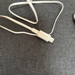 【美品】ハンズフリーイヤホン　ライトニング　白の画像