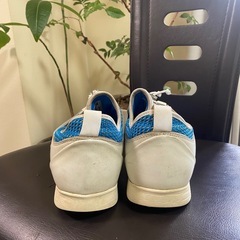 LOTTUSSEのゴルフシューズ 28センチの画像