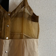 SRY シースルー　ワンピースの画像