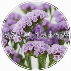 ◆通信制高校生・不登校対応オンライン個別指導塾　スターティス中村...