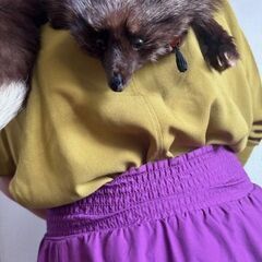 ミンクの画像