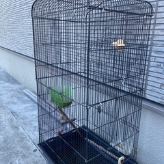 1200水槽上フィルター、鳥かご バードゲージ の画像