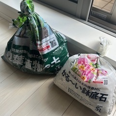 観葉植物用　植木鉢25cm の画像