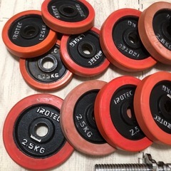 アイロテック25キロ×2 ベンチセットの画像