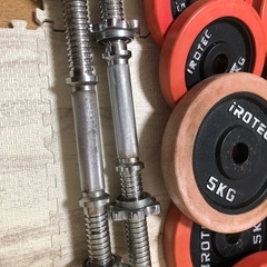 アイロテック25キロ×2 ベンチセットの画像