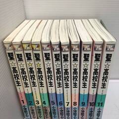 ☆【全巻セット】 聖高校生 セイントこうこうせい 小池田マヤ 11巻セット コミック マンガ 少年画報社 中古品(NF250911) Zi-2119の画像