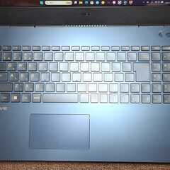 NEC N1535GAL N1535/GAL PC-N1535GAL [ネイビーブルー] 動作品 Core-i3 1115G4 8GB SSD256GBの画像
