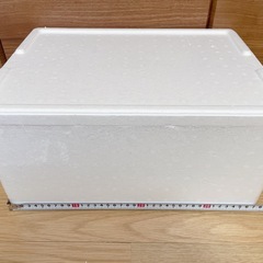 発泡スチロール＆保冷剤の画像