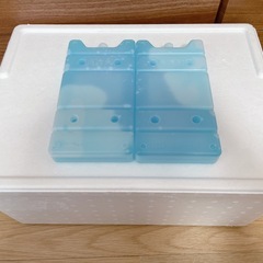 発泡スチロール＆保冷剤の画像
