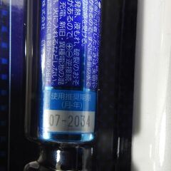 ☆パナソニック LED懐中電灯 乾電池エボルタNEO付 BF-BG01N-W【未開封】の画像