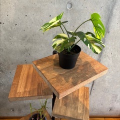 アイアン×木製　プランタースタンド フラワースタンド 鉢置き 花台 の画像