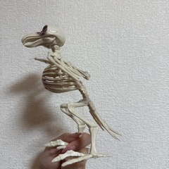 取引中-ハロウィン飾り の画像