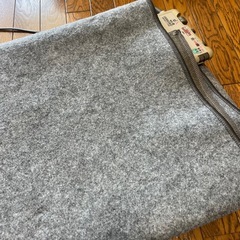 ホットカーペット（ラグ付き）の画像