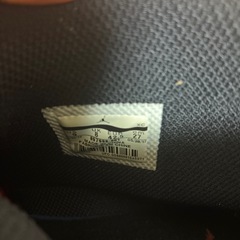 JORDAN ULTRA FLY 2　27cm 897998-601の画像