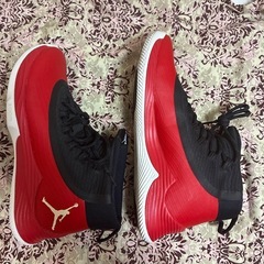 JORDAN ULTRA FLY 2　27cm 897998-601の画像