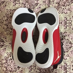 JORDAN ULTRA FLY 2　27cm 897998-601の画像