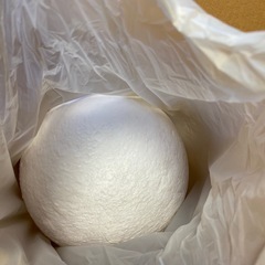 未使用品 ムーンライト リモコン付き の画像