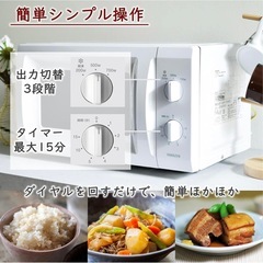 一人暮らし 電子レンジと冷蔵庫の画像