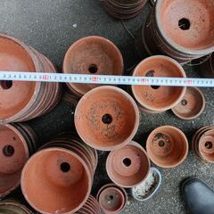 中古の植木鉢 多数 必要な数だけどうぞ 引き取り限定の画像