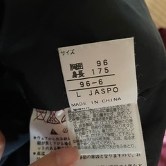 スキーウェア　スノーウェア　上下　大人　レディースの画像