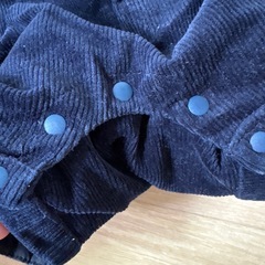 petit main 　70サイズの画像