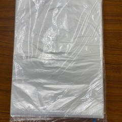 ポリ袋　400枚入り　ハイデンパック　No.13 ひもなしの画像