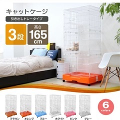 猫、家具、ペットケージの画像