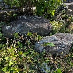 庭石の画像