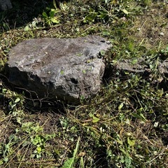 庭石の画像