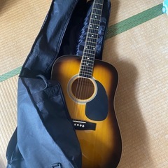 ghita の画像