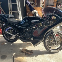RZ250Rの画像