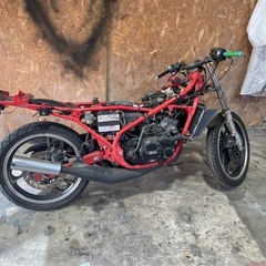 RZ250Rの画像