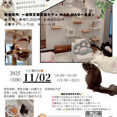 【11/2(日)池袋】猫カフェで出会う🐱猫好き婚活交流会