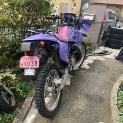 KDX125srの画像