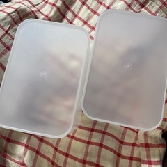 今月削除/DAISO積み重ねボックス大 深型 2個セットの画像