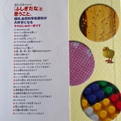 ふしぎの図鑑の画像