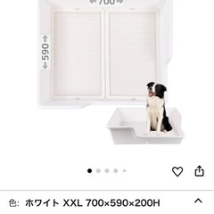 犬　トイレトレーの画像