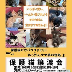 中標津町『10月＆11月の保護猫譲渡会』のお知らせ