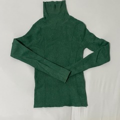 EGOIST タートルネック　ニット　トップス　グリーン　フリーサイズの画像