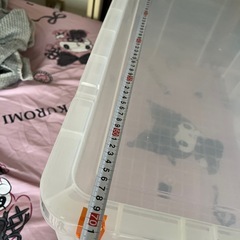 衣装ケース 大きめの画像