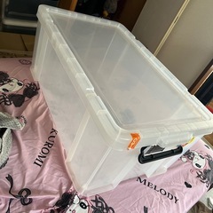 衣装ケース 大きめの画像