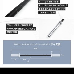 IROTEC PRO プロフェッショナルオリンピックシャフト8B 2200mmの画像