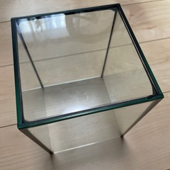 小さめの水槽　の画像