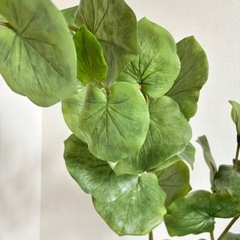 観葉植物 フェイクインテリア用 造花 ダミーの画像