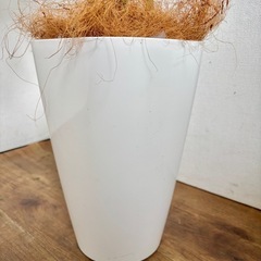 観葉植物 フェイクインテリア用 造花 ダミーの画像