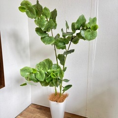 観葉植物 フェイクインテリア用 造花 ダミーの画像
