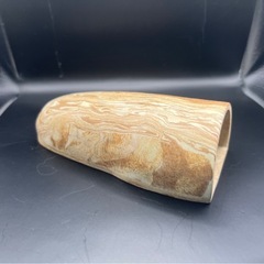 57シェルター　産卵筒YOKOSUKAの画像