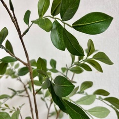 インテリア用 観葉植物 フェイク 造花 グリーンの画像